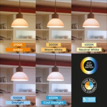LED sijalica A60 10,5 W E27 CCT 5u1