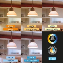 LED sijalica A65 13,5 W E27 CCT 5u1