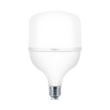 LED sijalica T80 20W E27 6500K hladno belo Braytron Advance