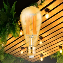 LED filament sijalica ST64 dimabilna 6W E27 amber 2200K Braytron Advance