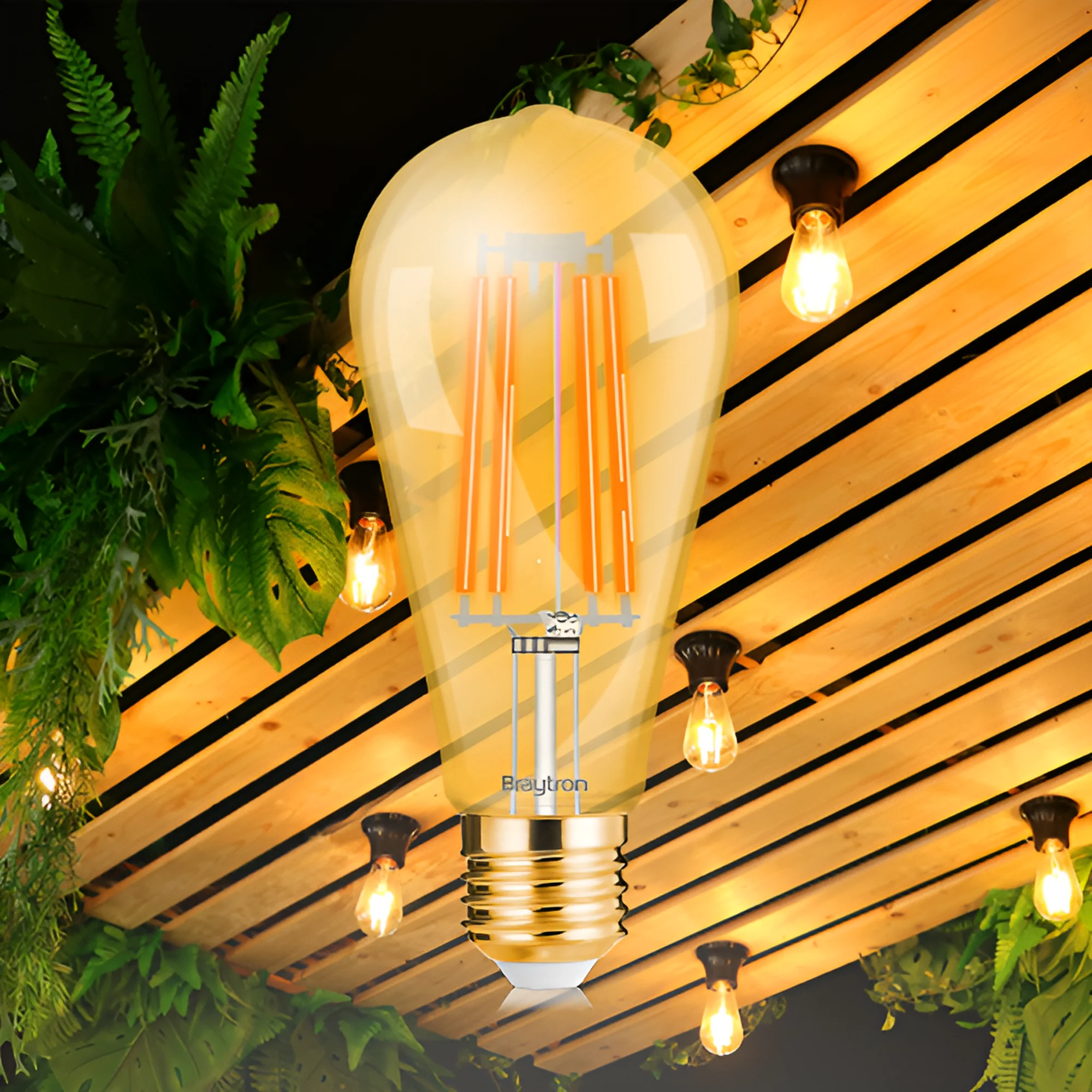LED filament sijalica ST64 dimabilna 6W E27 amber 2200K Braytron Advance
