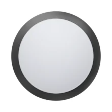 Spoljna plafonjera E27 siva IP65 Braytron Napoli