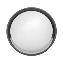 LED zidna spoljna svetiljka okrugla 12W 6500K siva IP65 Braytron Walls D