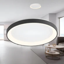 LED plafonjera okrugla Ø480 36W CCT crna IP20 Braytron Bella