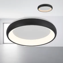 LED plafonjera okrugla Ø480 36W CCT crna IP20 Braytron Bella II