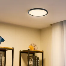 LED plafonjera okrugla 20W crna CCT 3u1 Braytron Jade