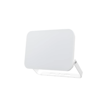 LED reflektor 10W CCT bela IP65 Braytron Flood White