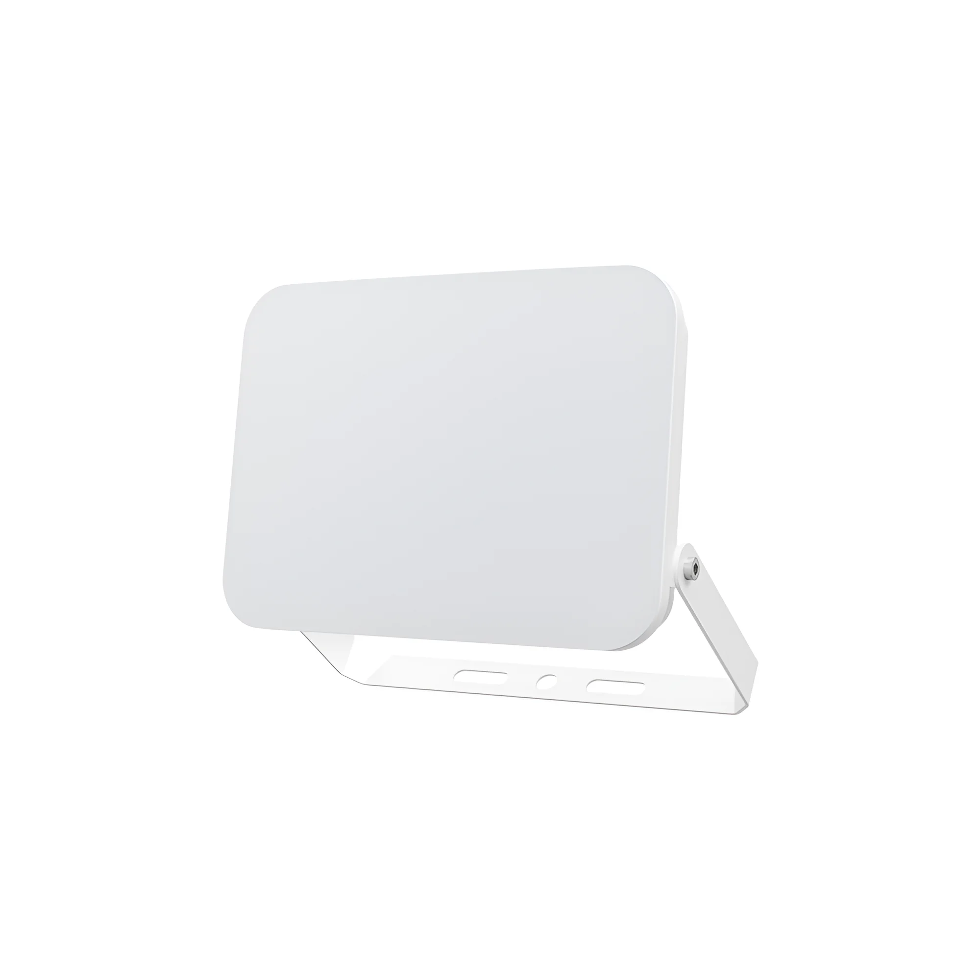 LED reflektor 10W CCT bela IP65 Braytron Flood White