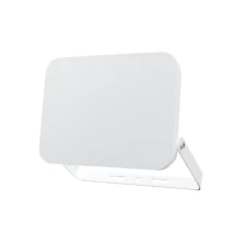 LED reflektor 30W CCT bela IP65 Braytron Flood White