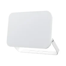 LED reflektor 100W CCT bela IP65 Braytron Flood White